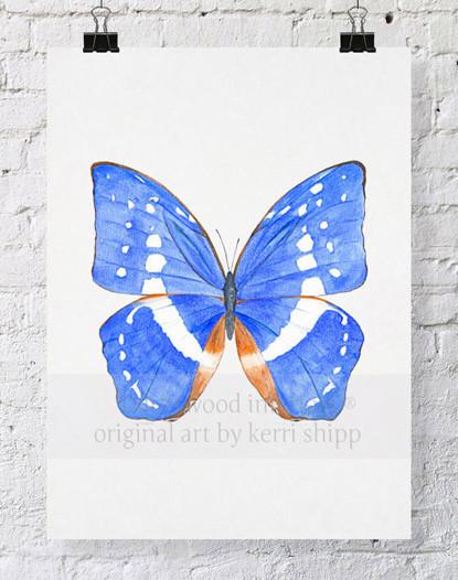 Butterfly in Cobalt - Driftwood Interiors
