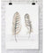 "Collected" Feather Wall Art Print - Driftwood Interiors