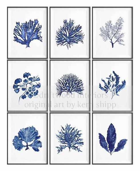 Sea Fan IV in Denim - Driftwood Interiors