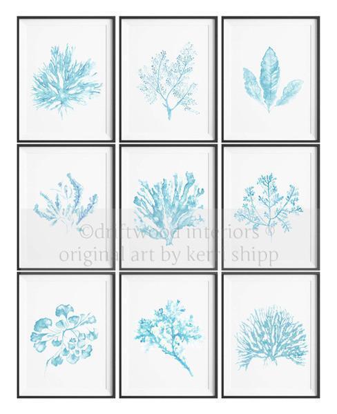 Sea Fan II in French Blue - Driftwood Interiors