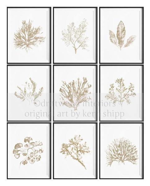 Sea Fan in Natural - Driftwood Interiors