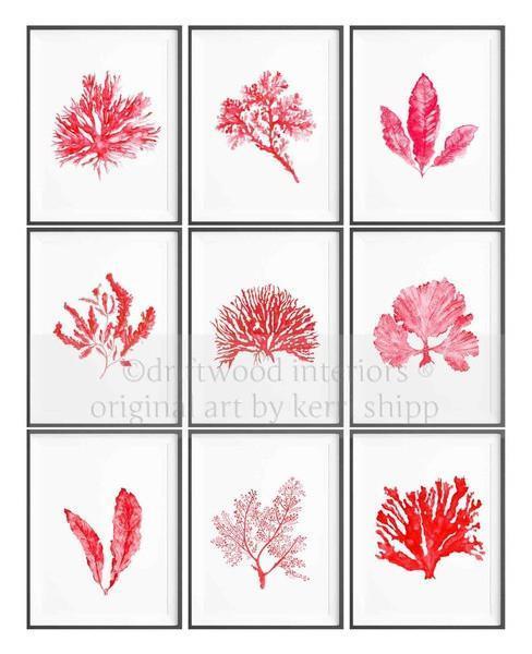 Set of 3 Wall Art Prints - Set of 9 Coral Wall Art Prints in Red - Driftwood Interiors