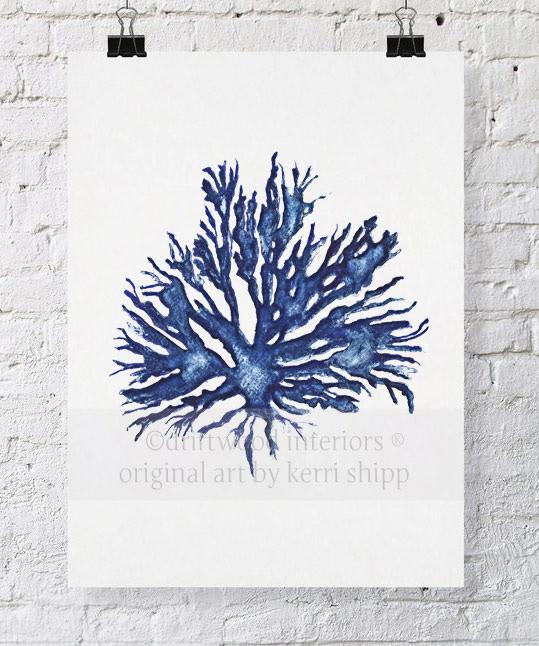 Sea Coral II in Denim - Driftwood Interiors