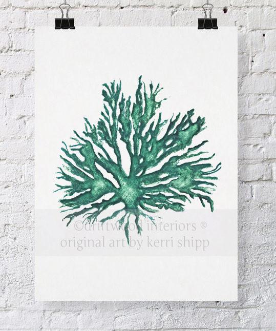 Sea Coral II in Emerald - Driftwood Interiors