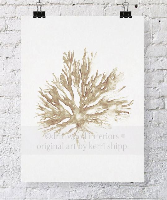 Sea Coral II in Natural - Driftwood Interiors