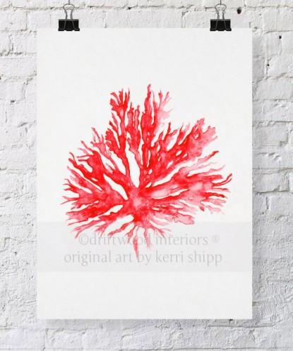 Sea Coral II in Ruby - Driftwood Interiors