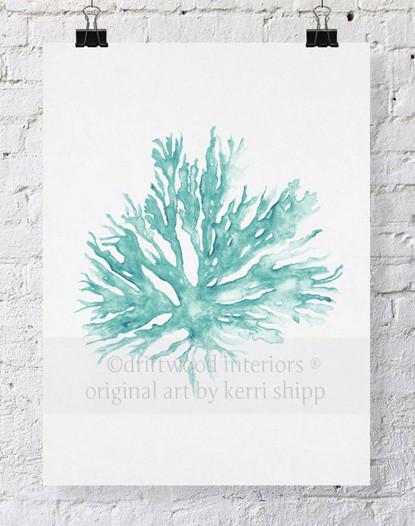 Sea Coral II in Woodlawn - Driftwood Interiors