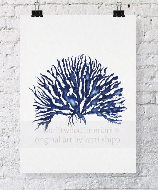 Blue Coral Wall Art Print - Hampton Style Art - Driftwood Interiors
