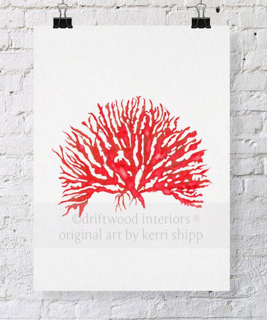 Sea Coral IV in Ruby - Driftwood Interiors