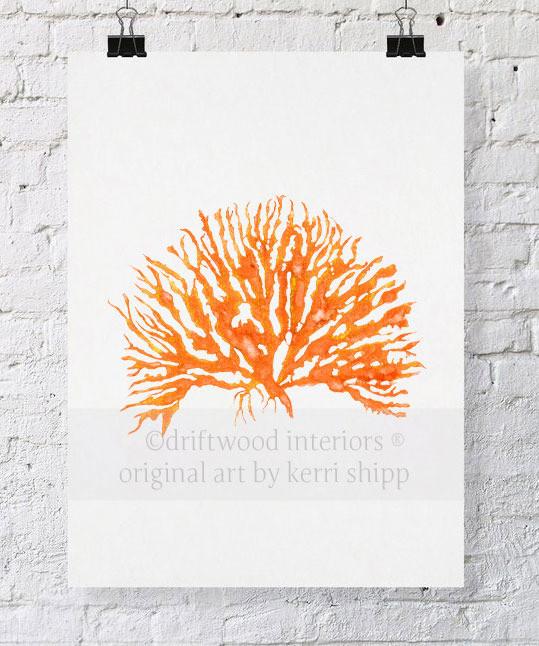Sea Coral IV in Tangerine - Driftwood Interiors