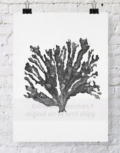 Sea Coral in Charcoal - Driftwood Interiors