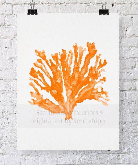 Sea Coral in Tangerine - Driftwood Interiors