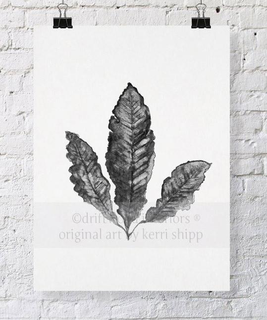 Sea Fan II in Charcoal - Driftwood Interiors