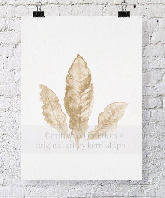 Sea Fan II in Natural - Driftwood Interiors