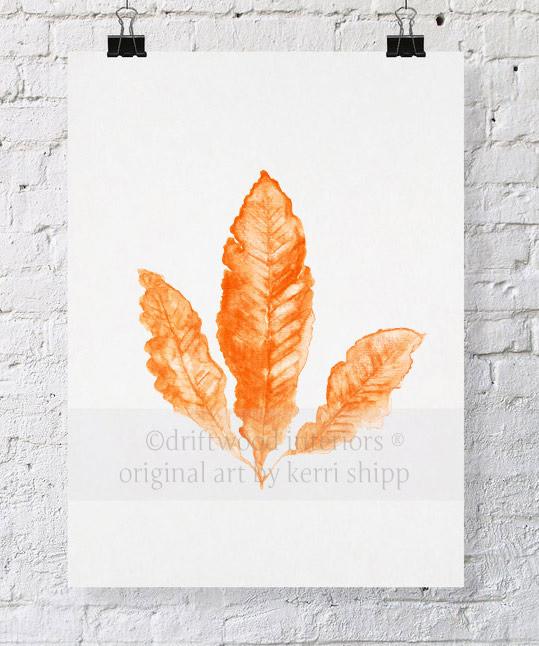Coral Wall Art Print - Sea Fan II in Tangerine Orange - Driftwood Interiors
