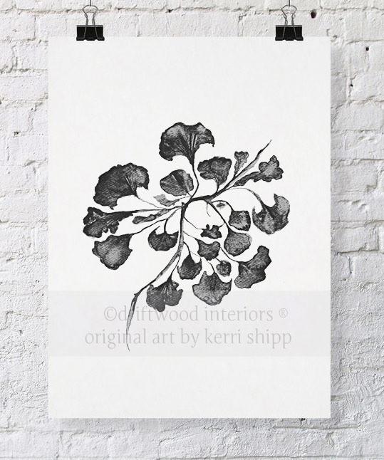 Sea Fan IV in Charcoal - Driftwood Interiors