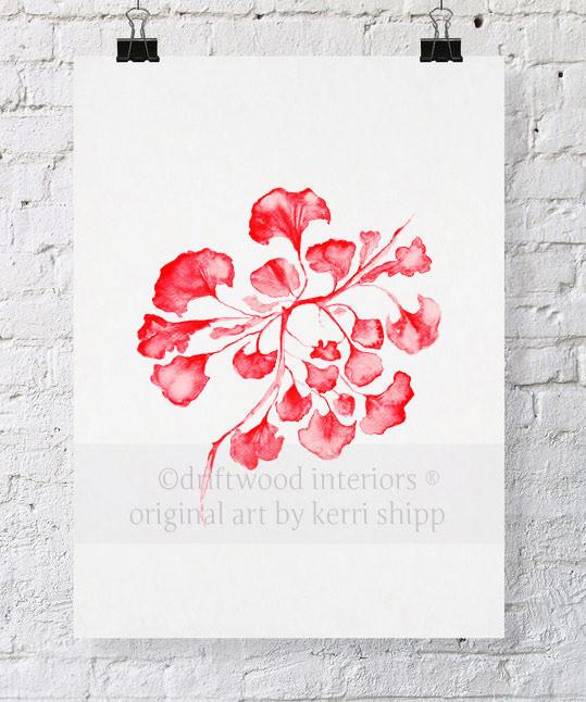 Sea Fan IV in Ruby - Driftwood Interiors