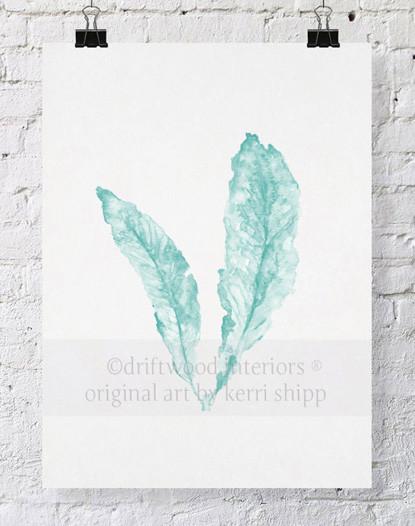 Sea Fan in Woodlawn - Driftwood Interiors