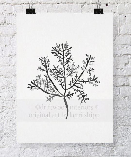 Sea Fern III in Charcoal - Driftwood Interiors