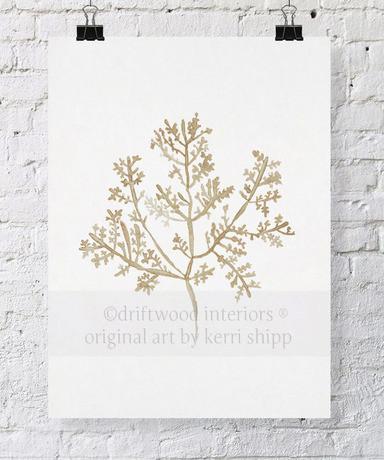 Sea Fern III in Natural - Driftwood Interiors