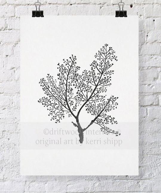 Sea Fern in Charcoal - Driftwood Interiors