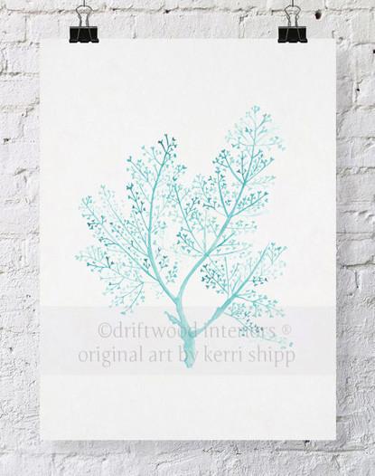 Sea Fern in Woodlawn - Driftwood Interiors