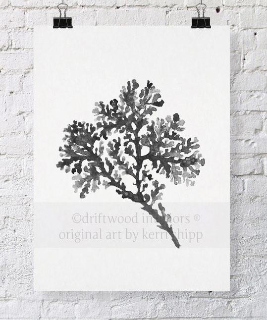 Seagrass in Charcoal - Driftwood Interiors