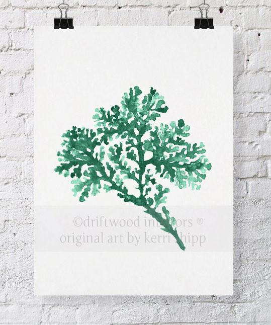 Seagrass in Emerald - Driftwood Interiors