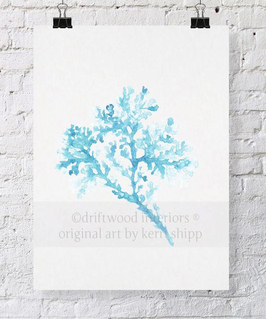 Seagrass in French Blue - Driftwood Interiors