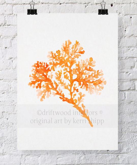 Seagrass in Tangerine - Driftwood Interiors