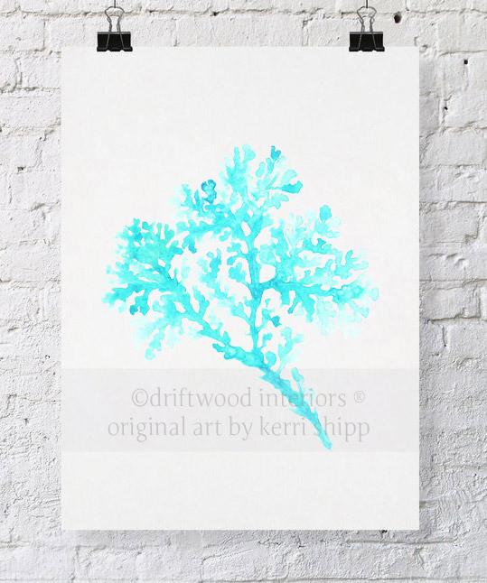 Seagrass in Turquoise - Driftwood Interiors