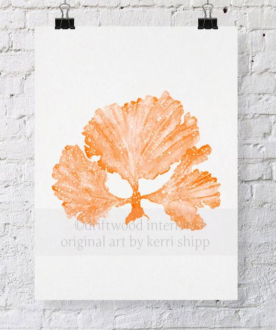 Seaweed II in Tangerine - Driftwood Interiors