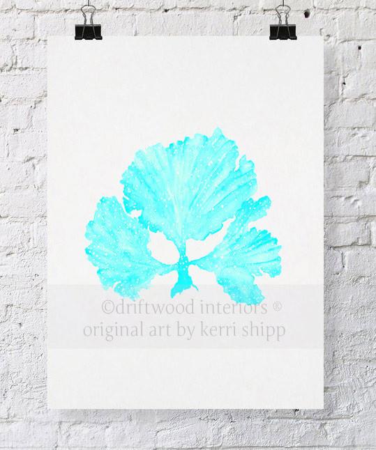 Seaweed II in Turquoise - Driftwood Interiors