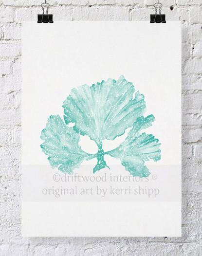 Seaweed II in Woodlawn - Driftwood Interiors