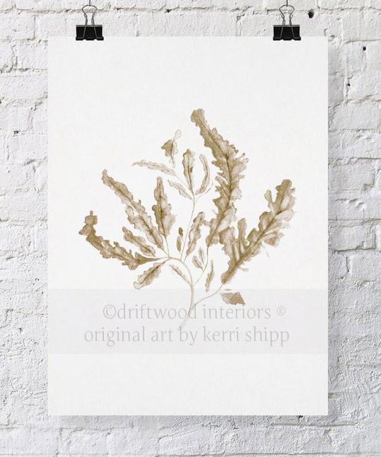 Seaweed in Natural - Driftwood Interiors