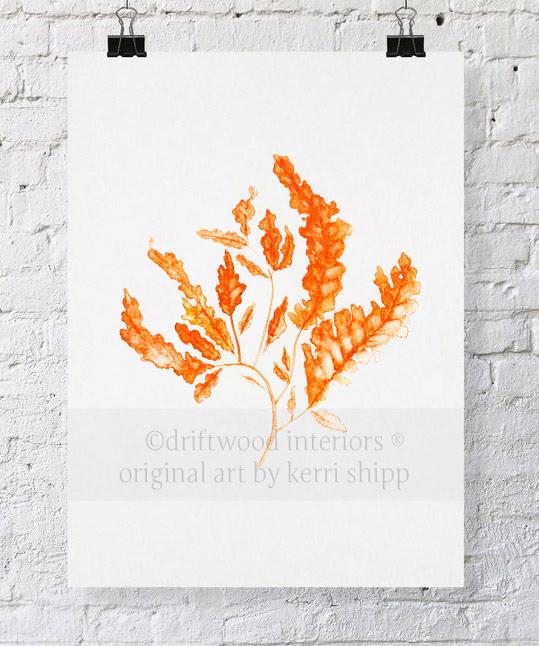Seaweed in Tangerine - Driftwood Interiors