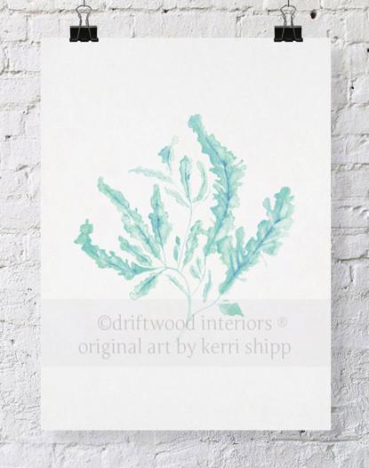 Seaweed in Woodlawn - Driftwood Interiors