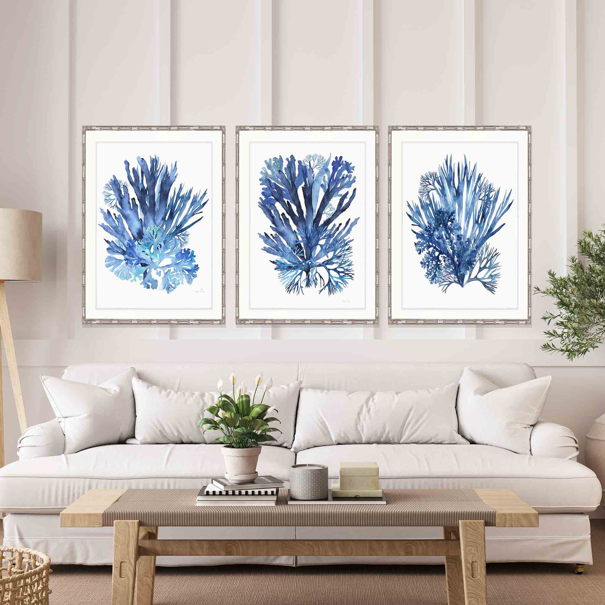 Set of 3 Wall Art Prints - 3 Piece Set of Blue Coral Seaweed Prints - Driftwood Interiors