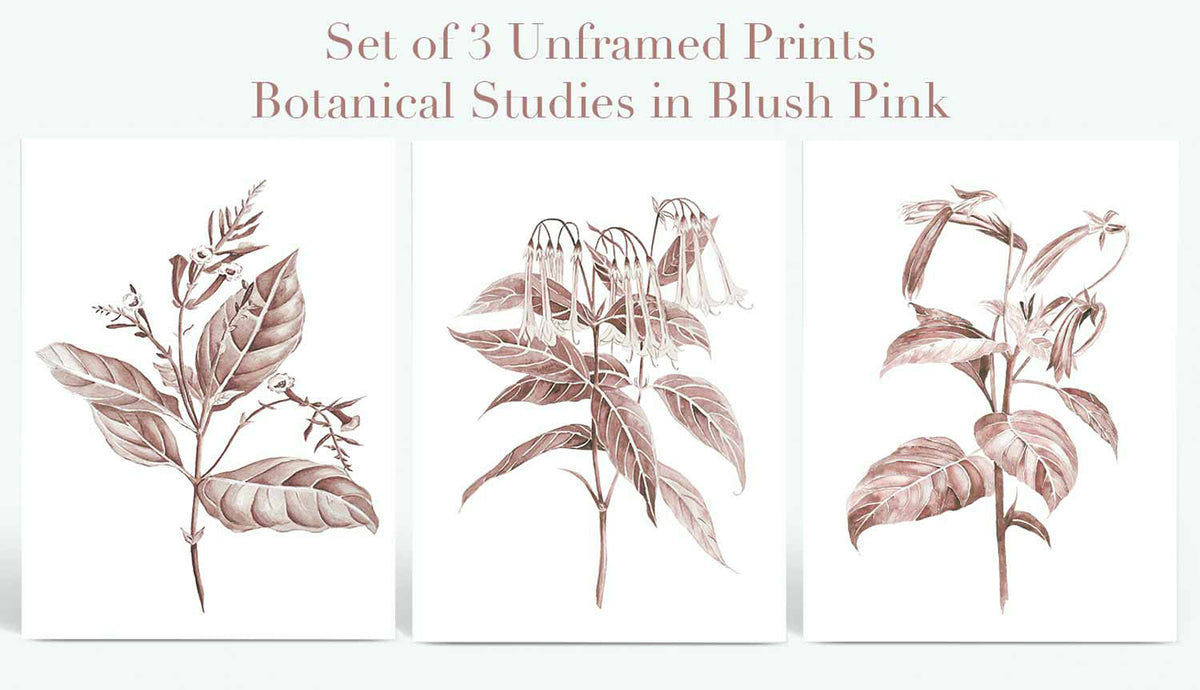 3 Piece Set of Pink Flower Art Prints by Kerri Shipp Driftwood Interiors