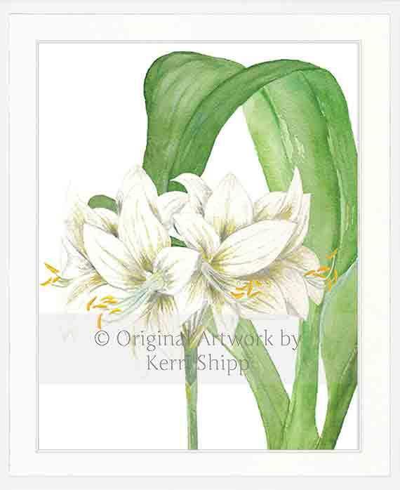 Tropical Bloom II - Driftwood Interiors