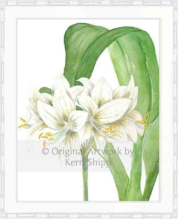 Tropical Bloom II - Driftwood Interiors