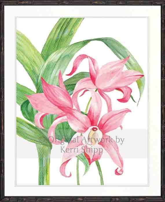 Tropical Bloom I - Driftwood Interiors