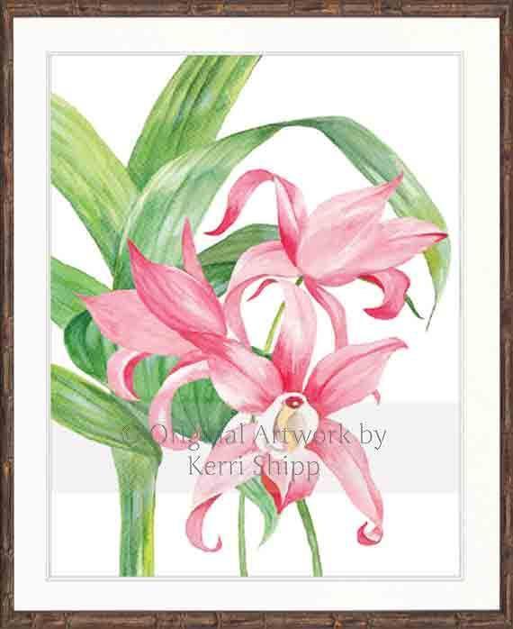 Tropical Bloom I - Driftwood Interiors