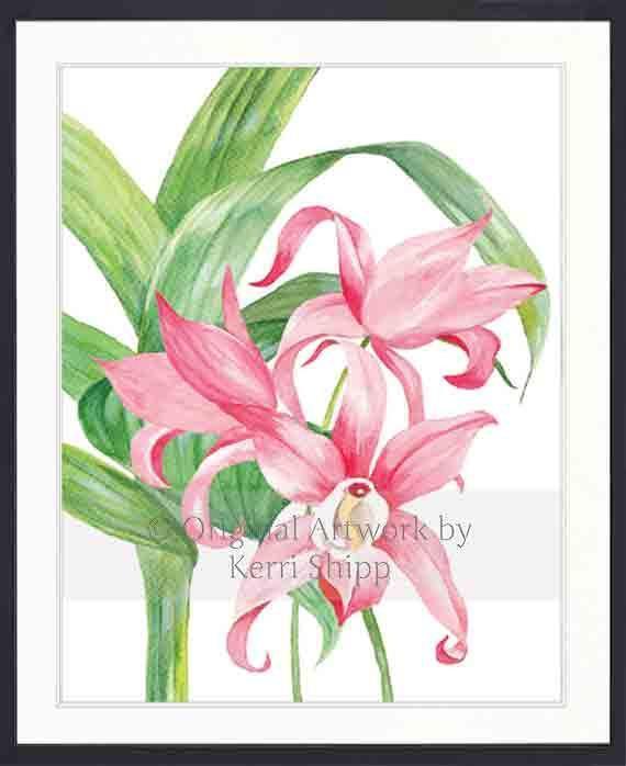 Tropical Bloom I - Driftwood Interiors