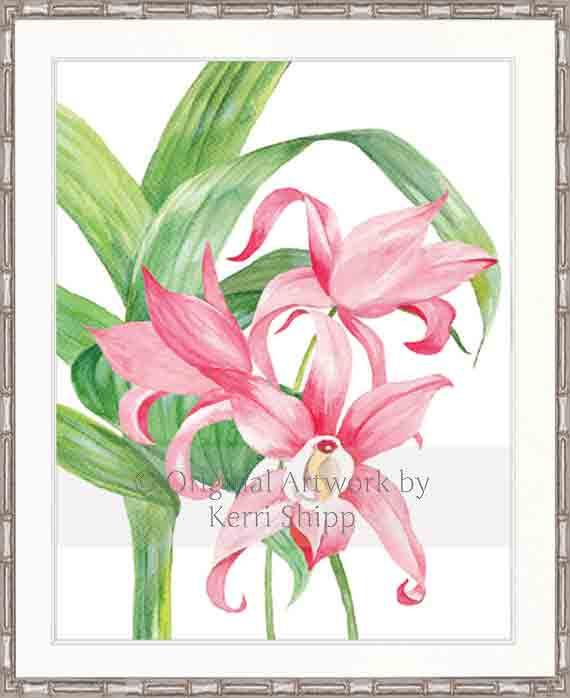 Tropical Bloom I - Driftwood Interiors