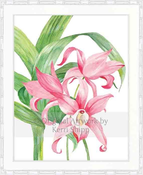 Tropical Bloom I - Driftwood Interiors