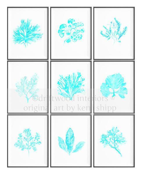 Seagrass in Turquoise - Driftwood Interiors