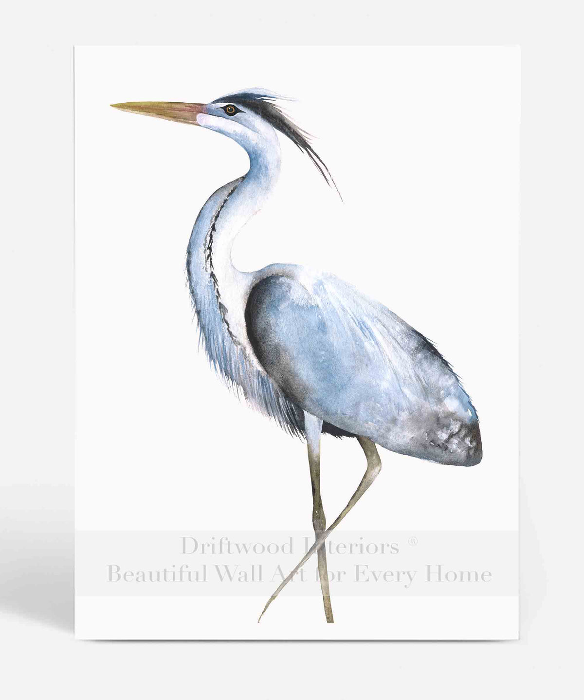 Great Blue Heron III Wall Art Print | Watercolour Bird | Driftwood Interiors