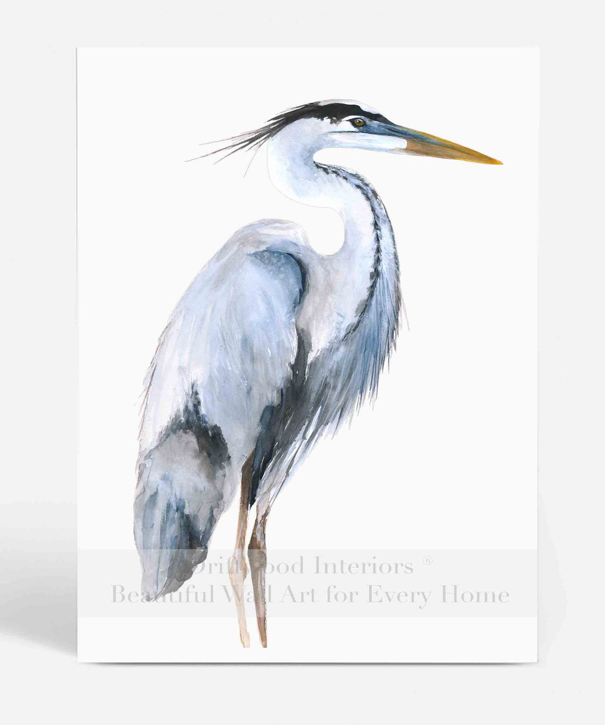 Great Blue Heron Wall Art Print | Watercolour Bird Wall Art| Driftwood Interiors
