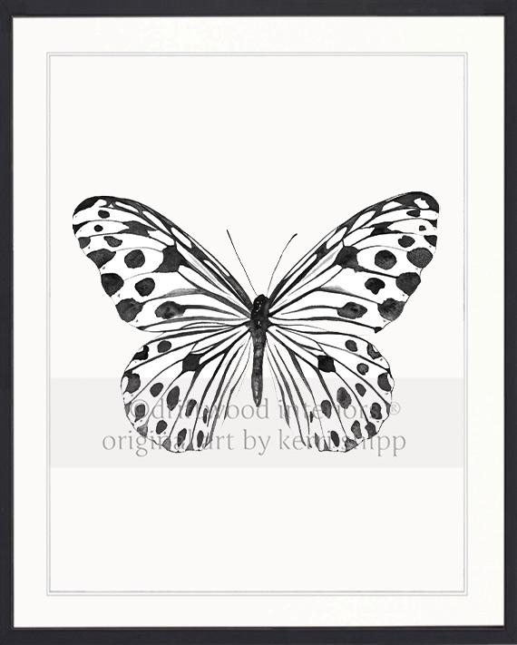 Black and White Spotted Butterfly
